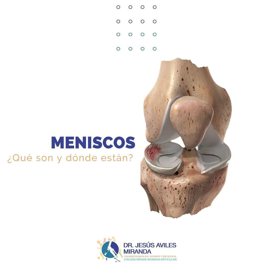 Jesús Aviles Miranda-9