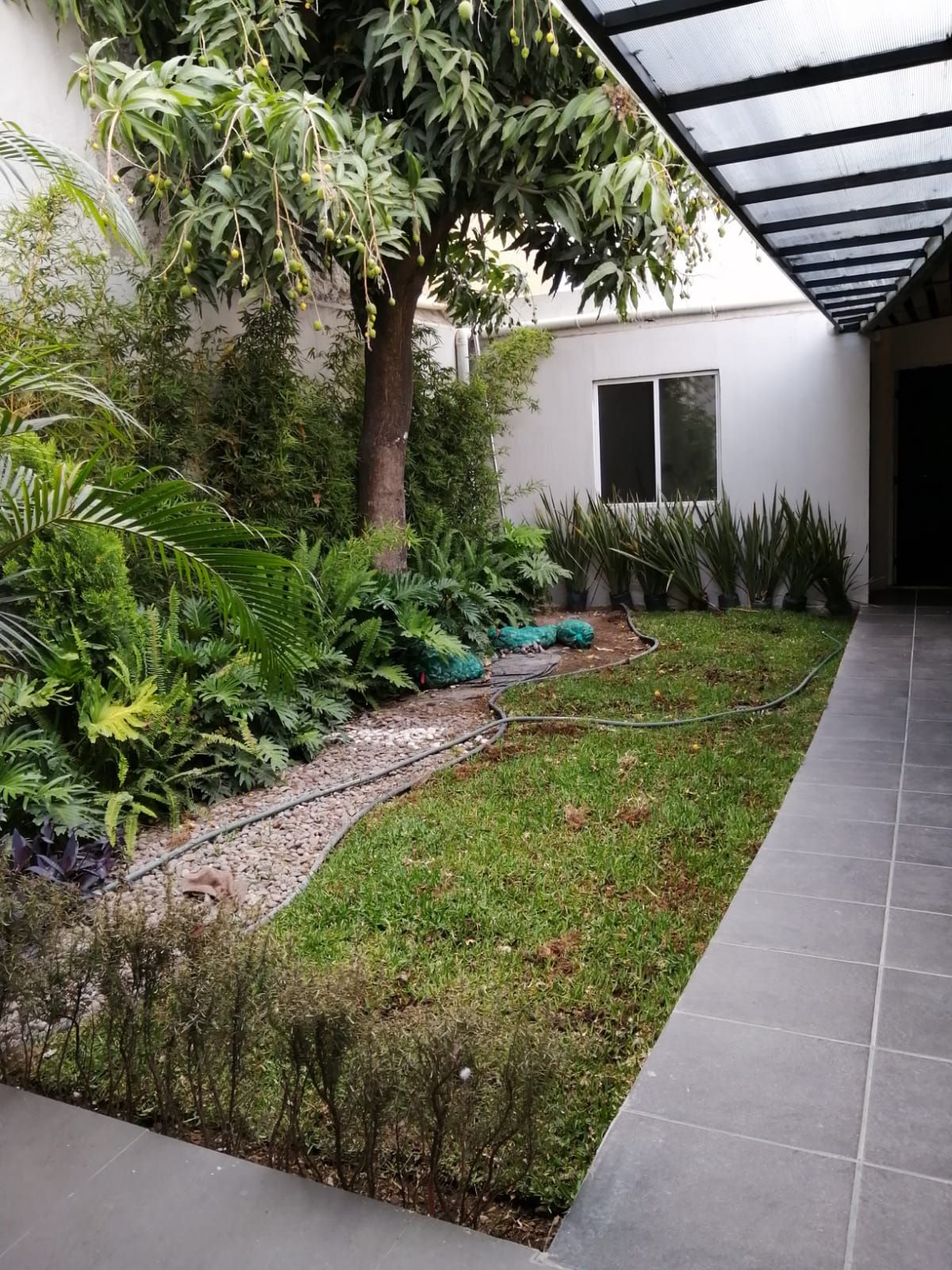 Alma Eugenia De La Mora González-1