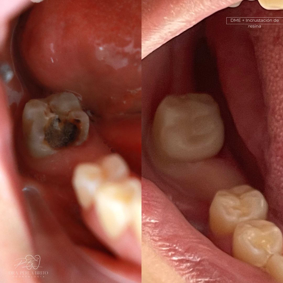 Perla Mariana Brito-2