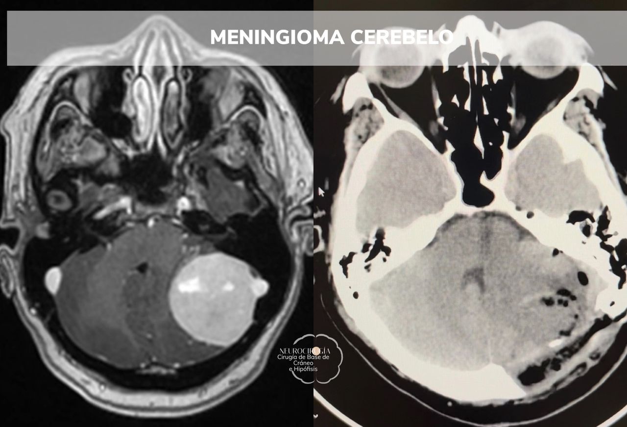 Alma García Nájera-4