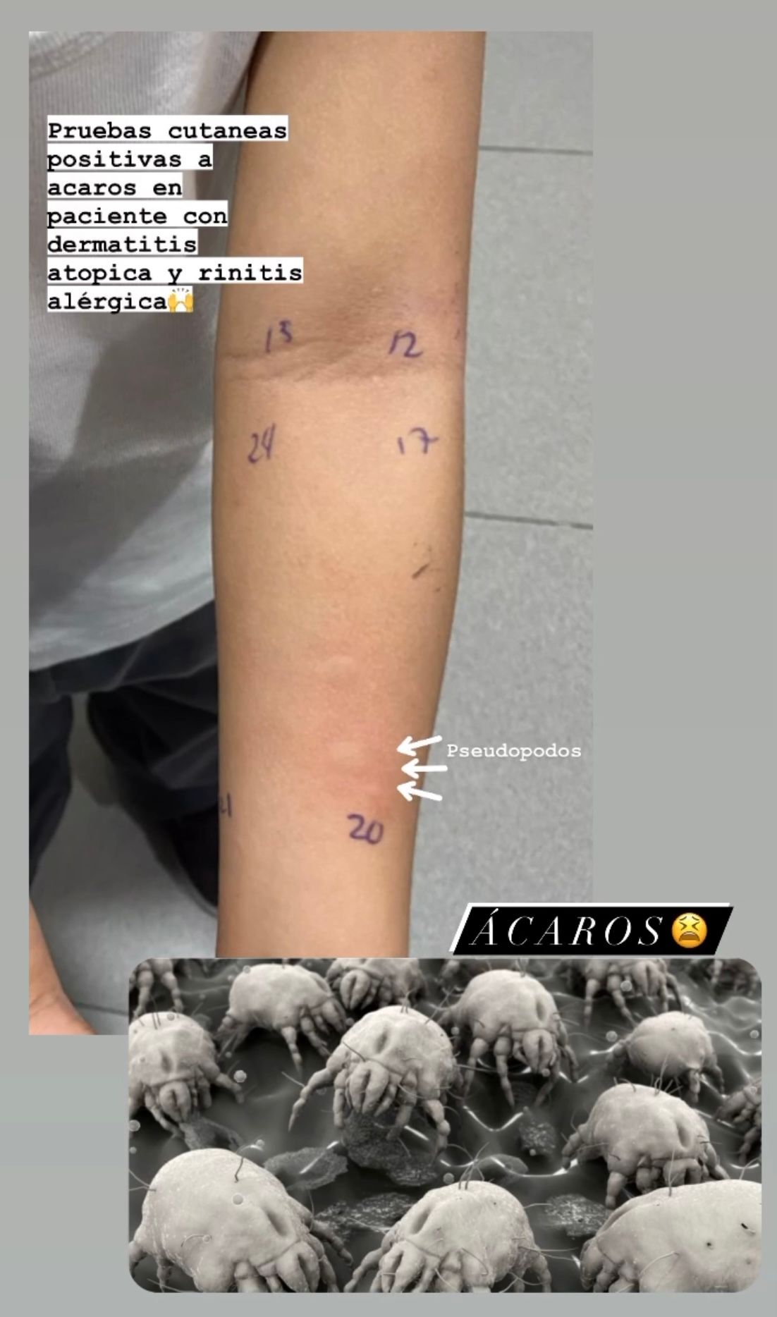 Elena Yaressy Terrones-5