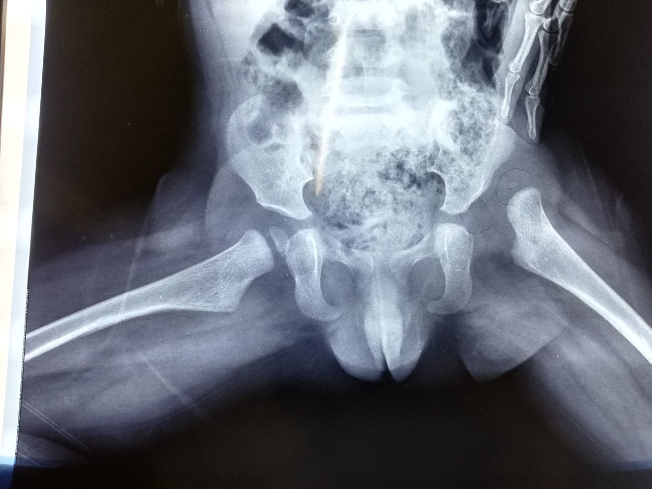 Jesús Guerra Jasso-18