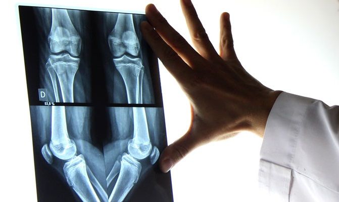 Gerardo Segundo Primero-1