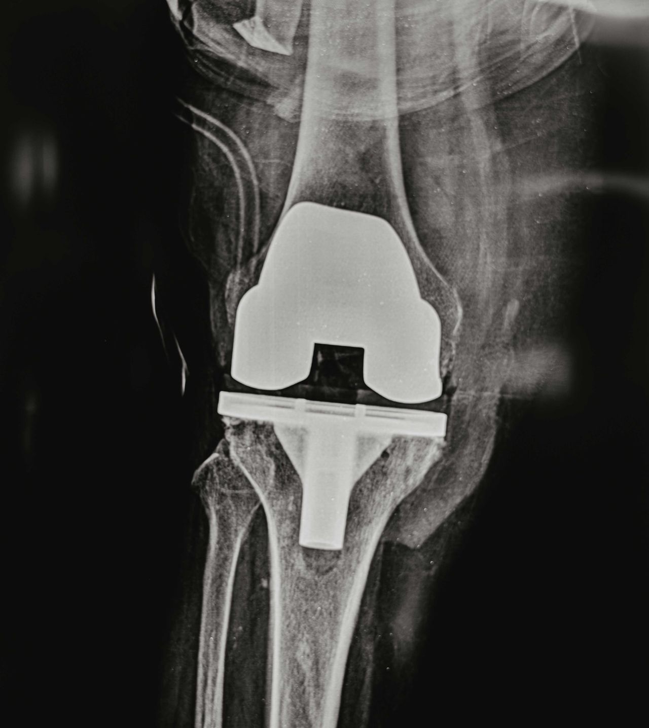 Gustavo Cayetano Baez-4