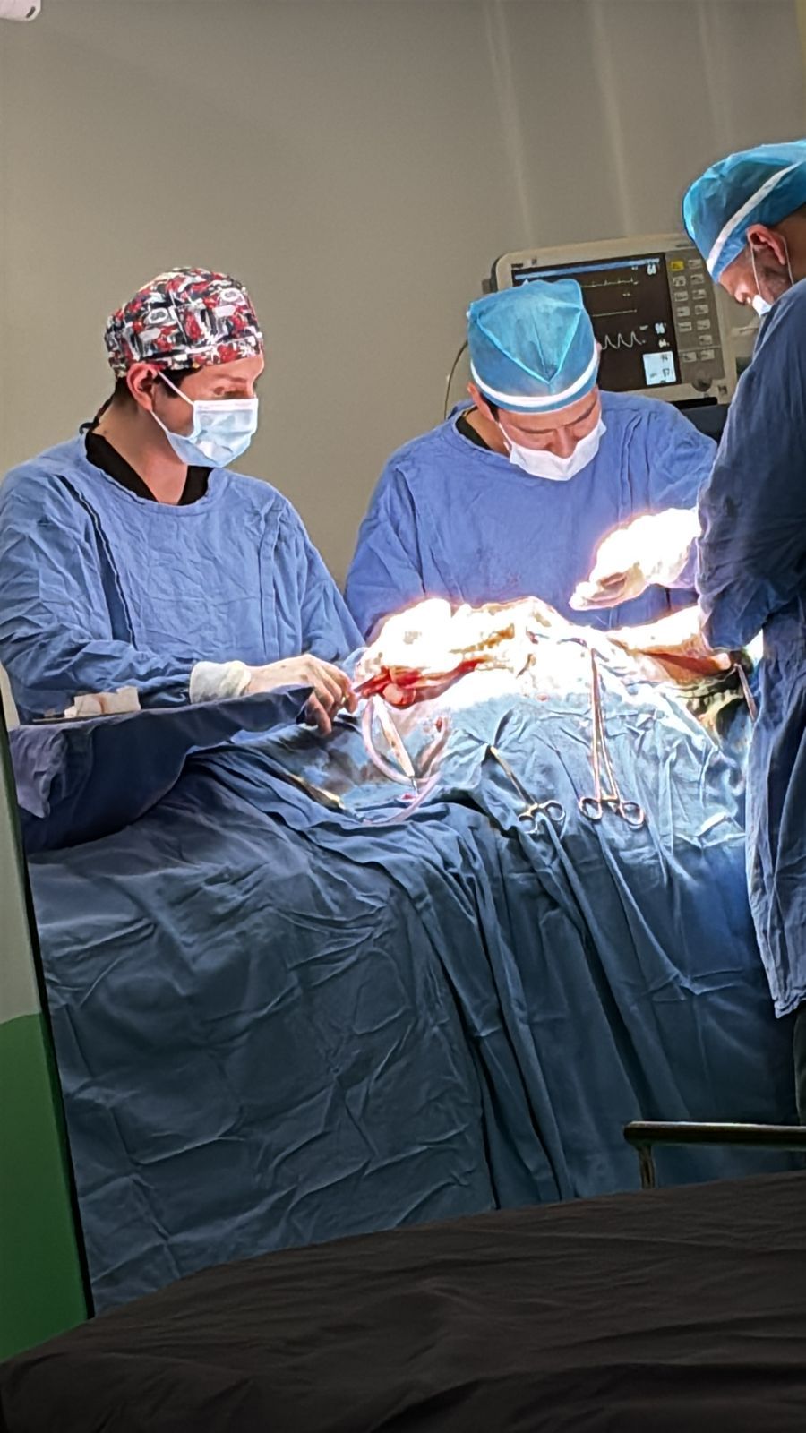 Alfredo Rebollar Cruz-1