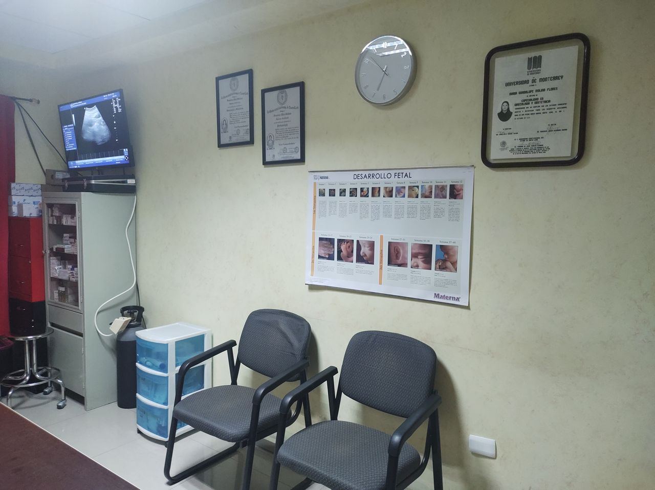 María Guadalupe Molina Flores-3