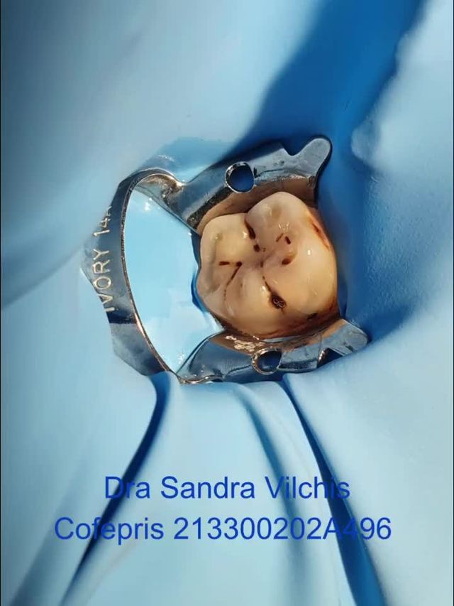 Sandra Vilchis-6