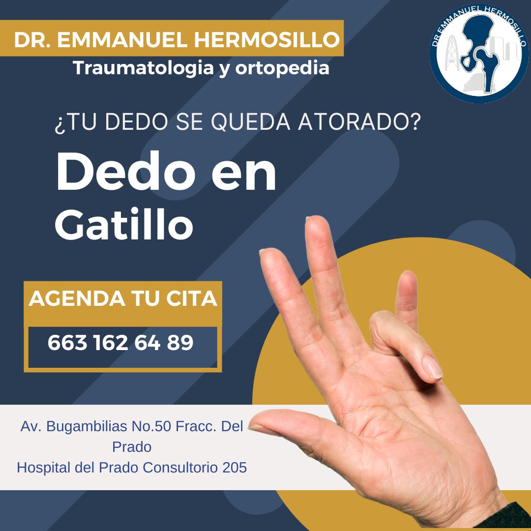 F. Emmanuel Hermosillo Salazar-2