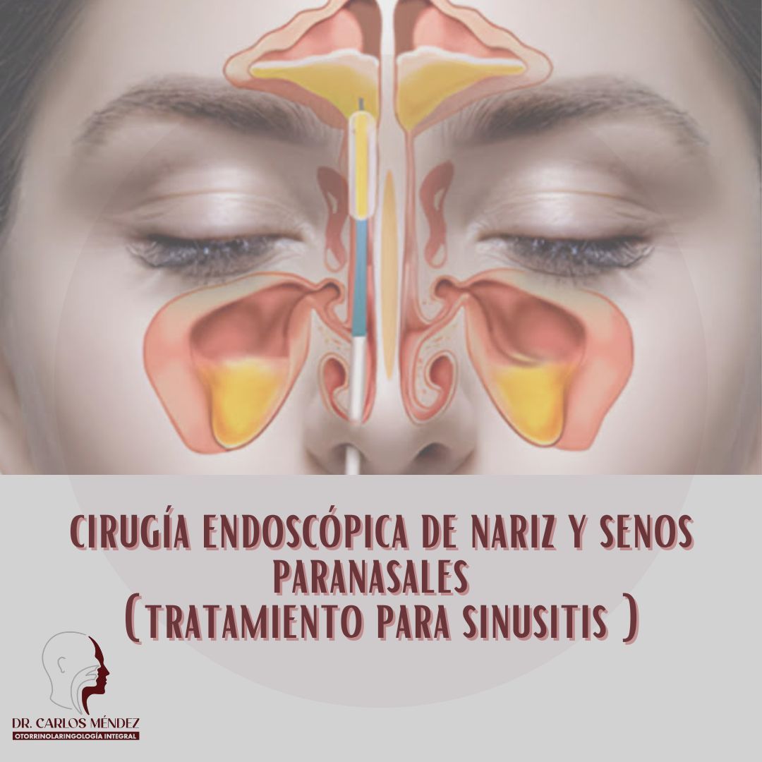 Juan Carlos Mendez Gutierrez-22