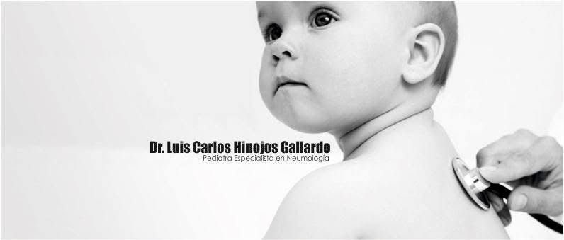 Luis Carlos Hinojos Gallardo-2
