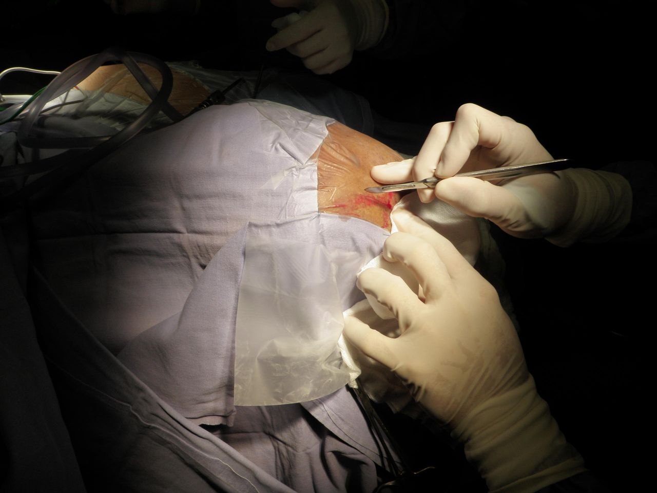 Erick Ulises Zepeda Fernández-3