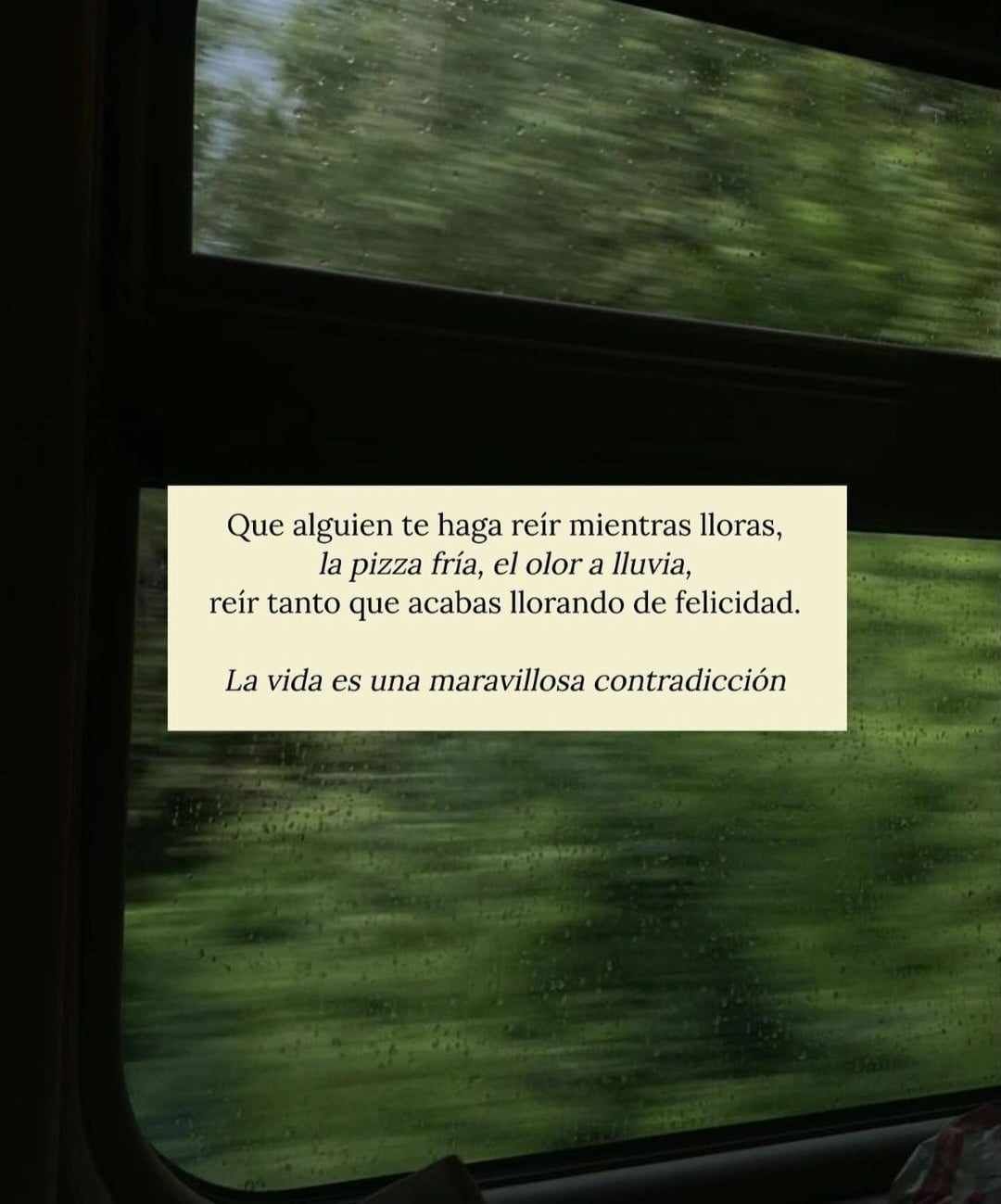 Mariela Suárez Sánchez-4