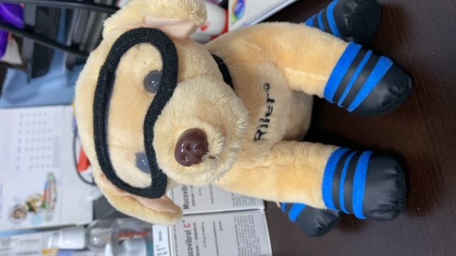 Karelyn Morales Arroyo-15