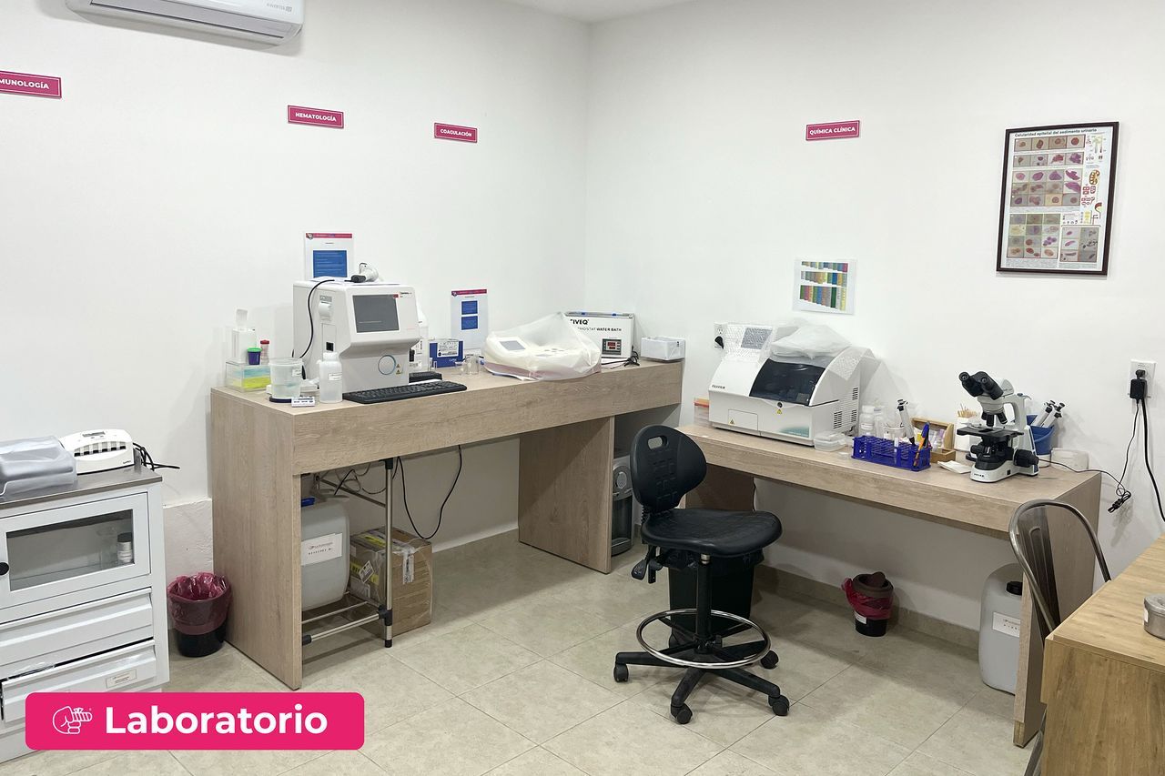 Carlos Armando Z.flores García-6