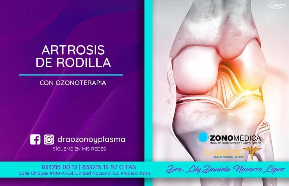 Lilia Daniela Navarro López-10