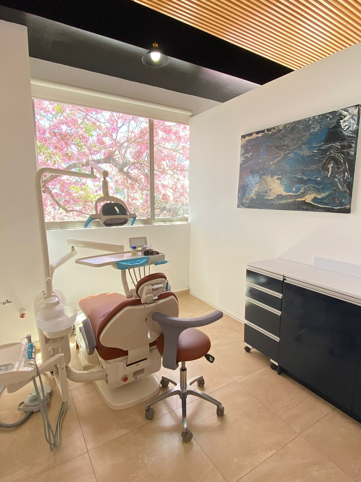 Pilar Fernández Guzmán-0