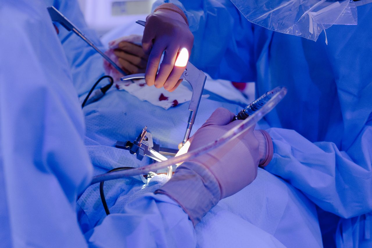 Celia Teresa De Jesús Álvarez Gamiño-46