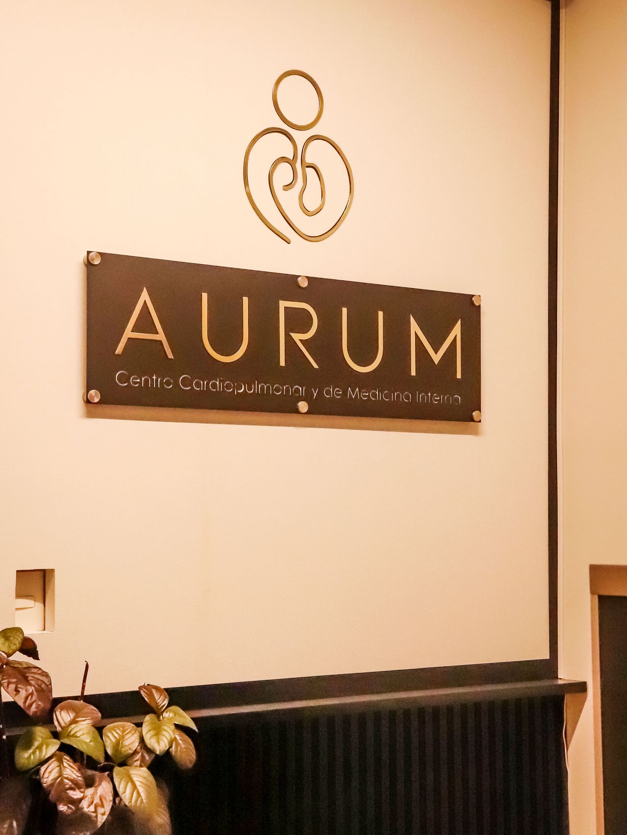 José Antonio Fernández Garrido-23