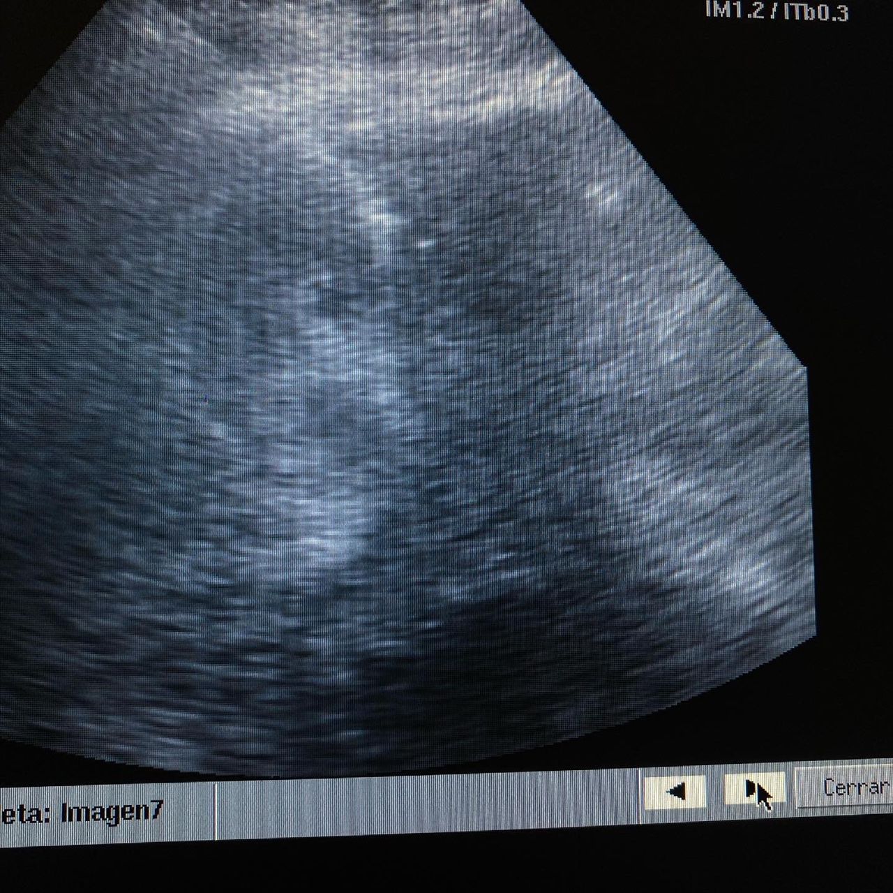 Carlos Gómez Guzmán-17