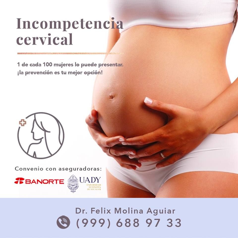 Félix José Molina Aguiar-21