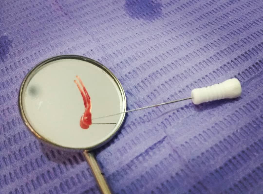 Leslie Michelle Galan Bahena-20