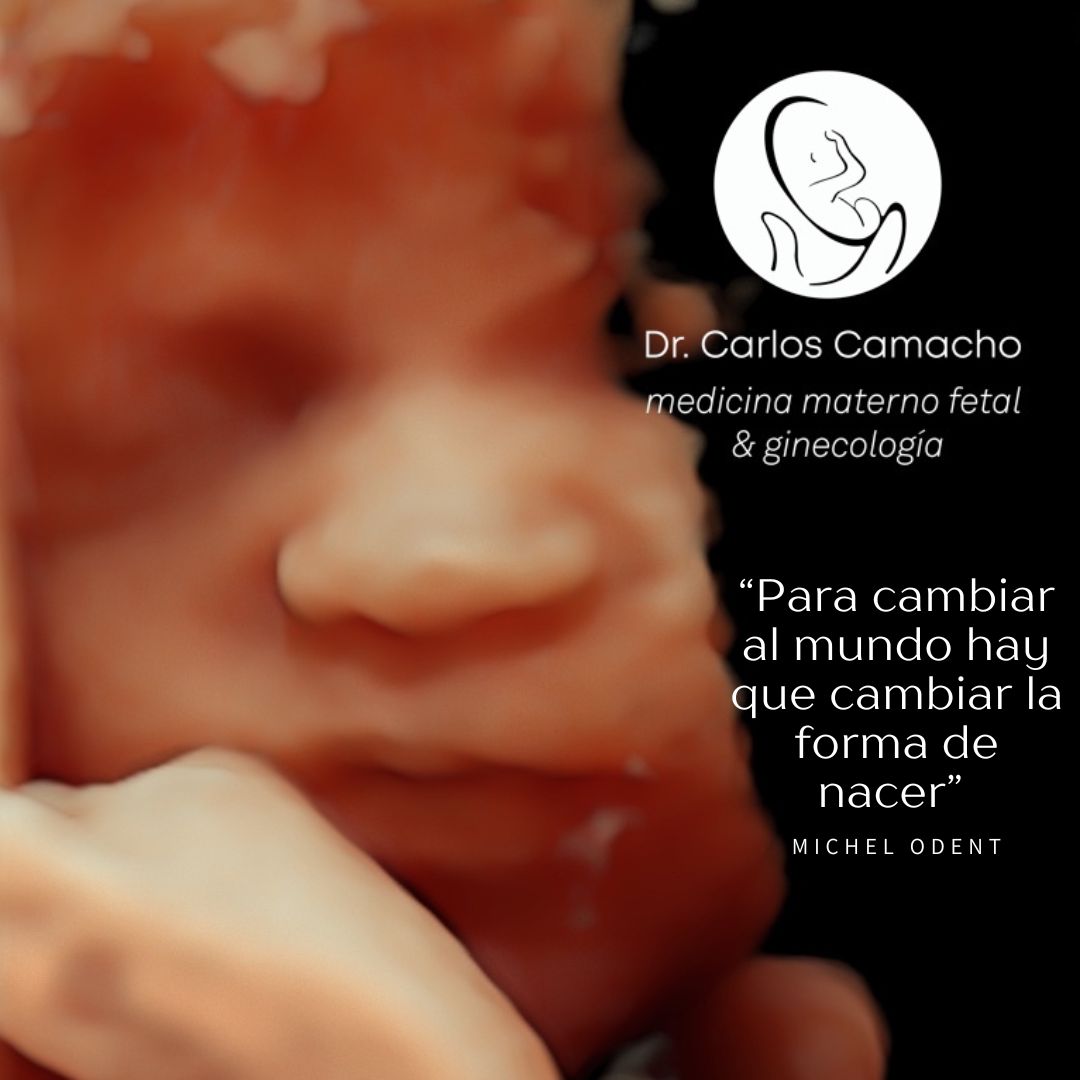 Juan Carlos Camacho Hernández-2