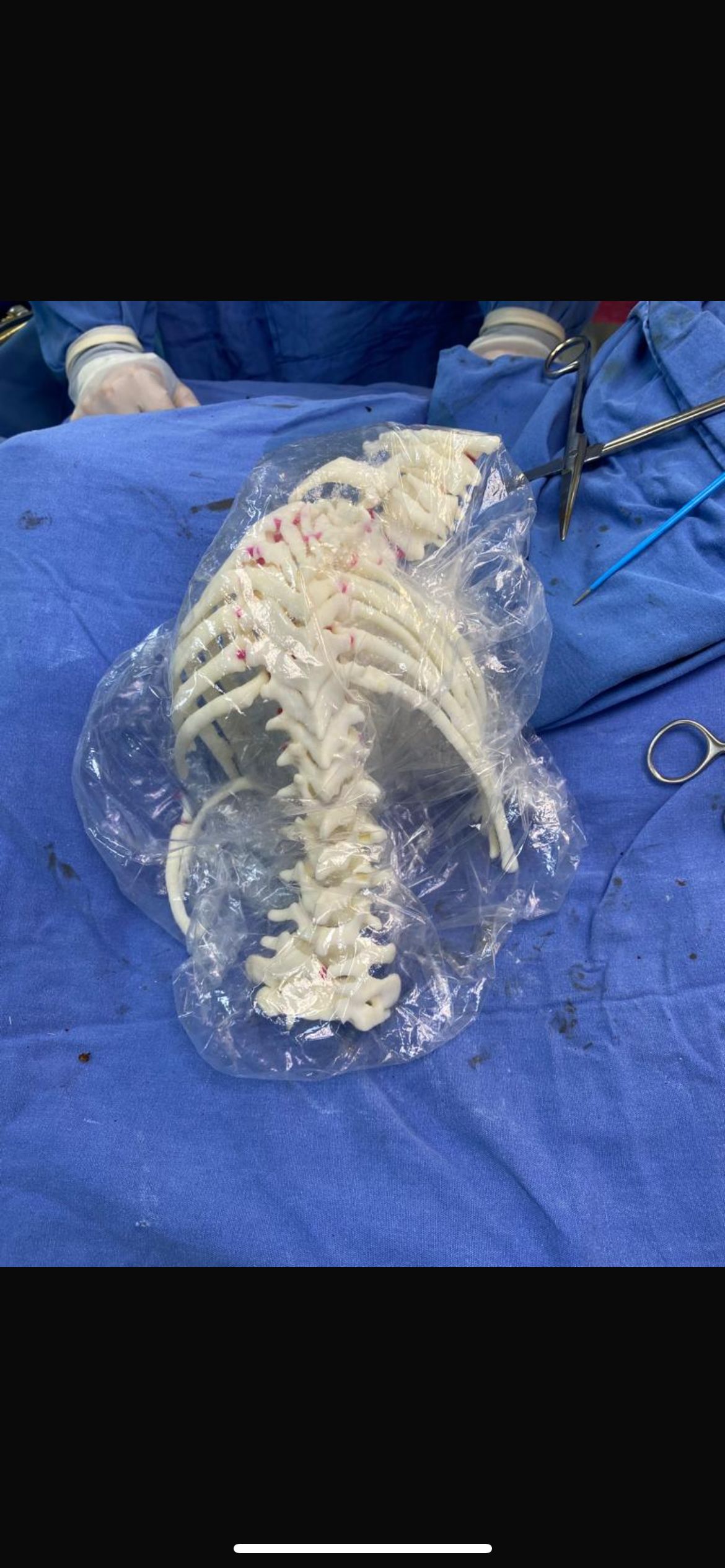 Kaori Honda Partida-14