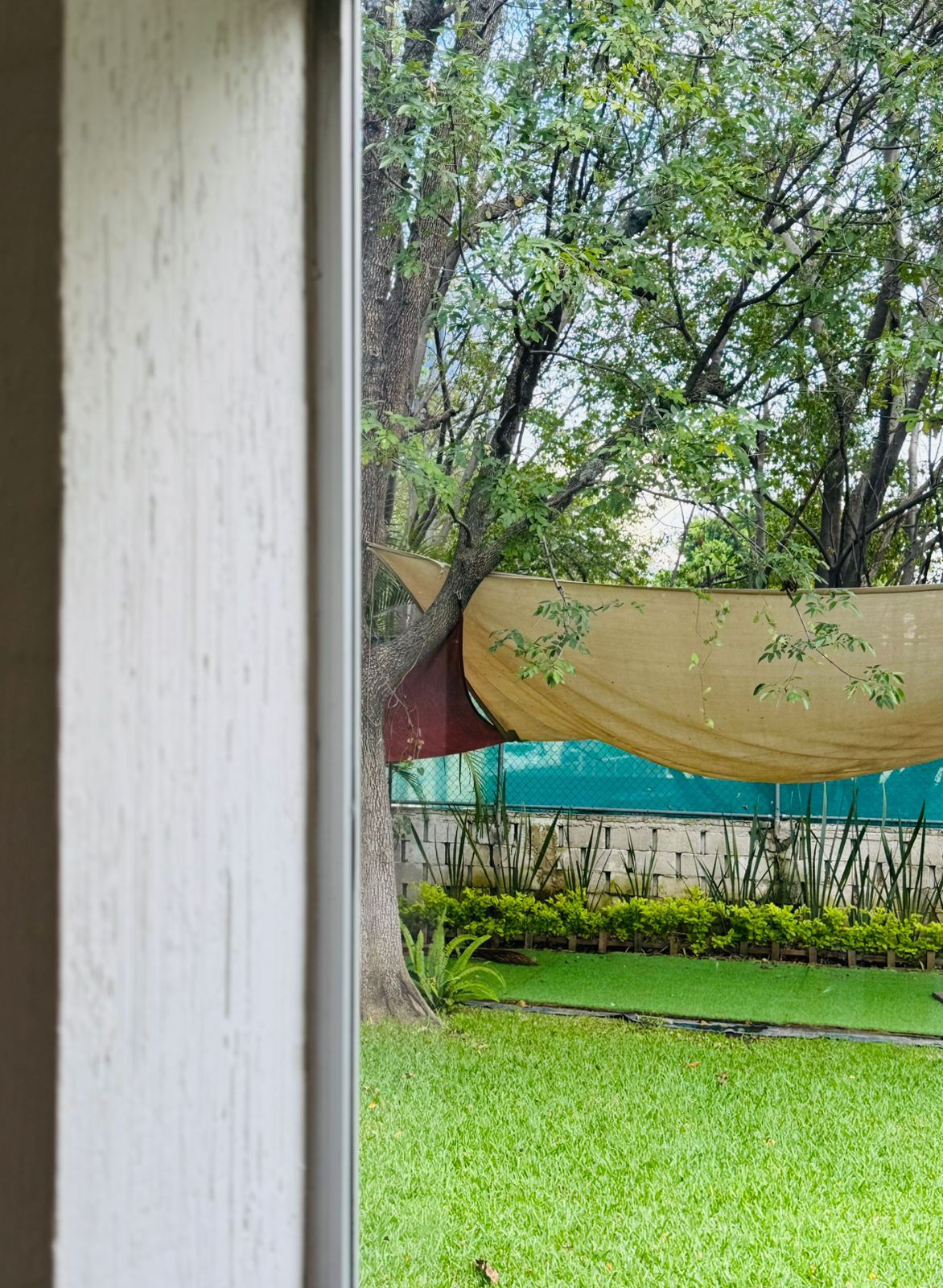 Kimberly De La Mora Velasco-1