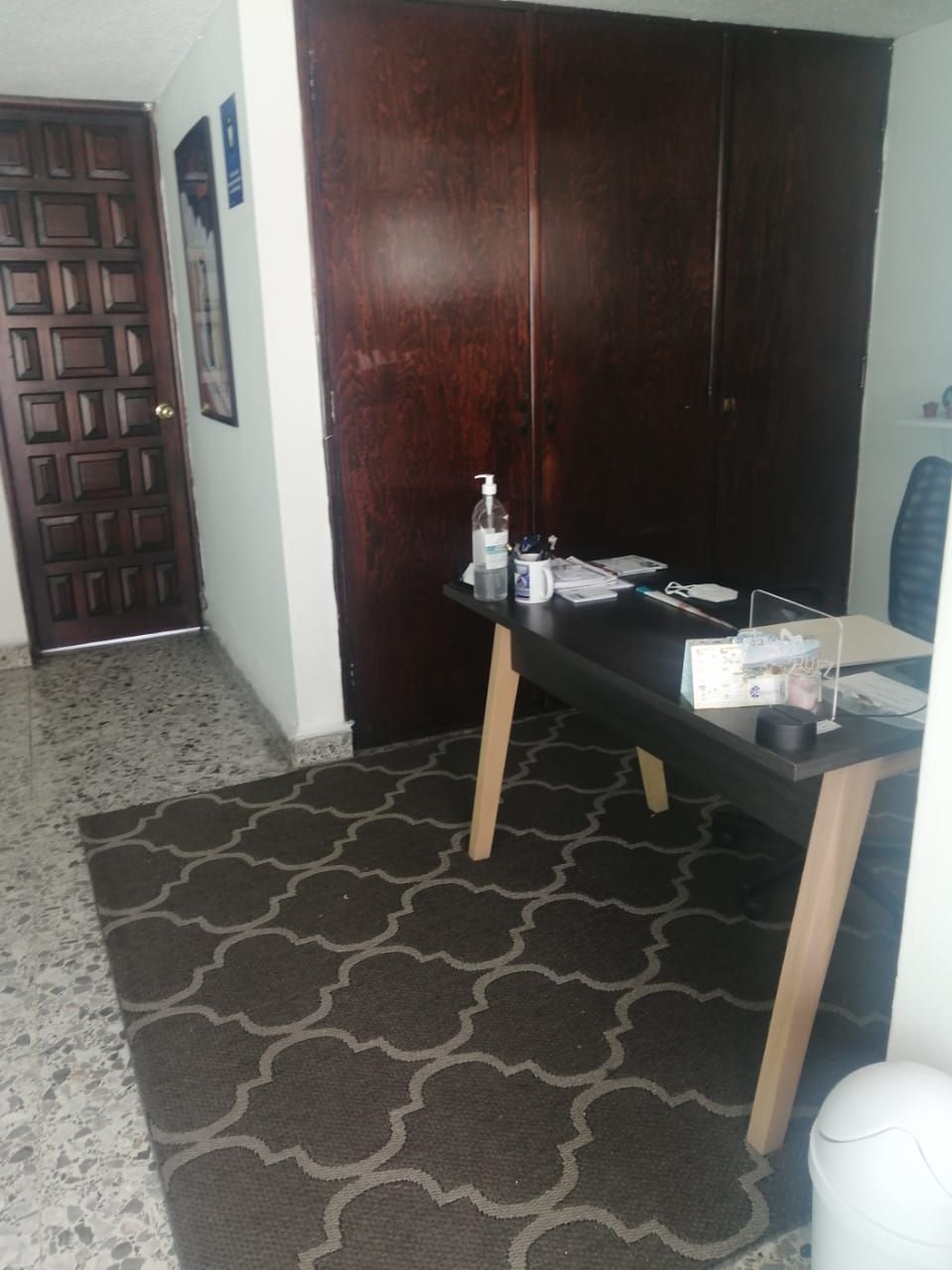 Irma Tolentino Piña-2