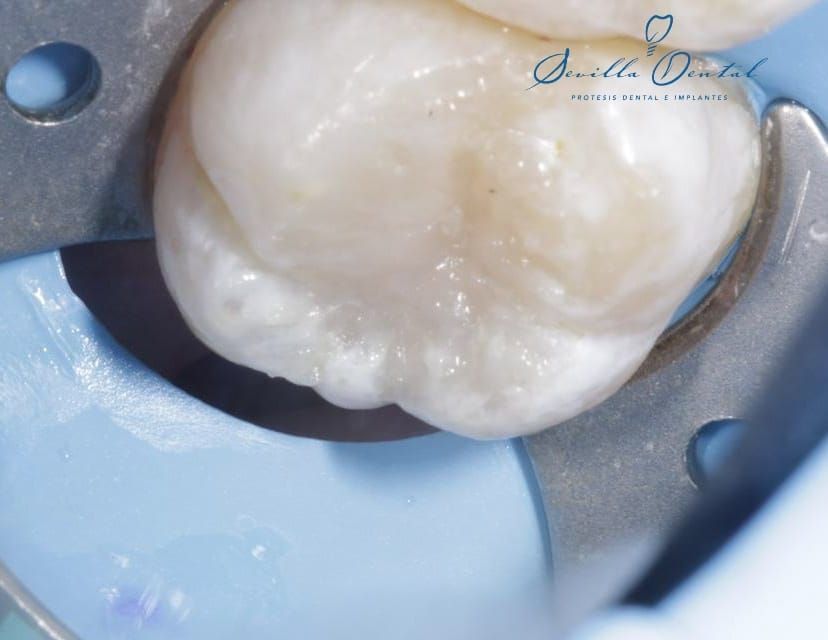 Gemma Marlene Sevilla Olmedo-6