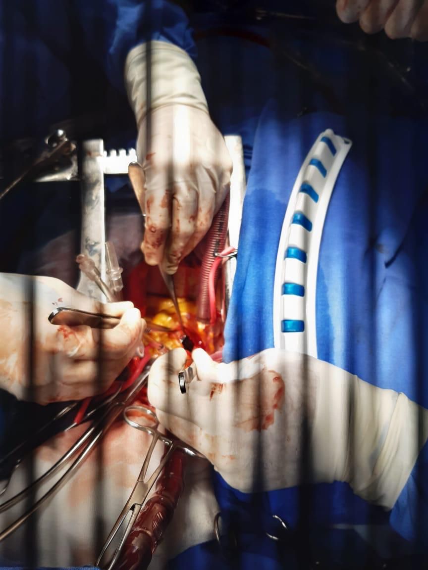 Victor Manuel Carmona Delgado-22