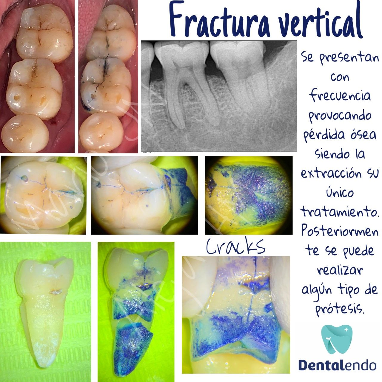 Alejandra Heredia Morán-9