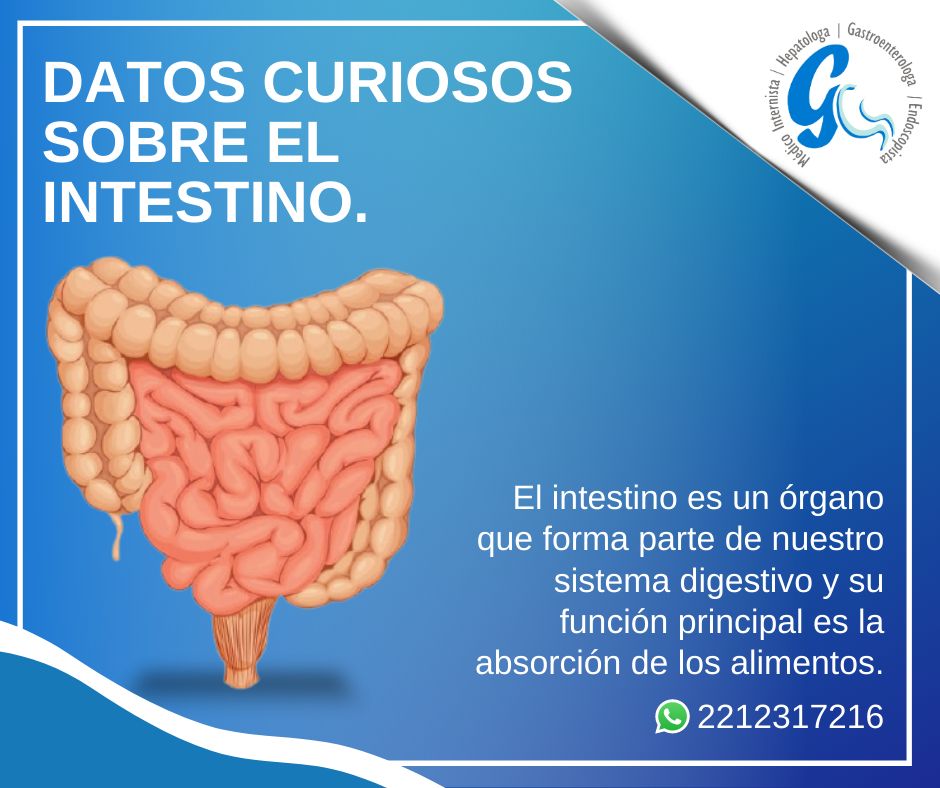 Maria Eddy Lucia Niño Almanza-7