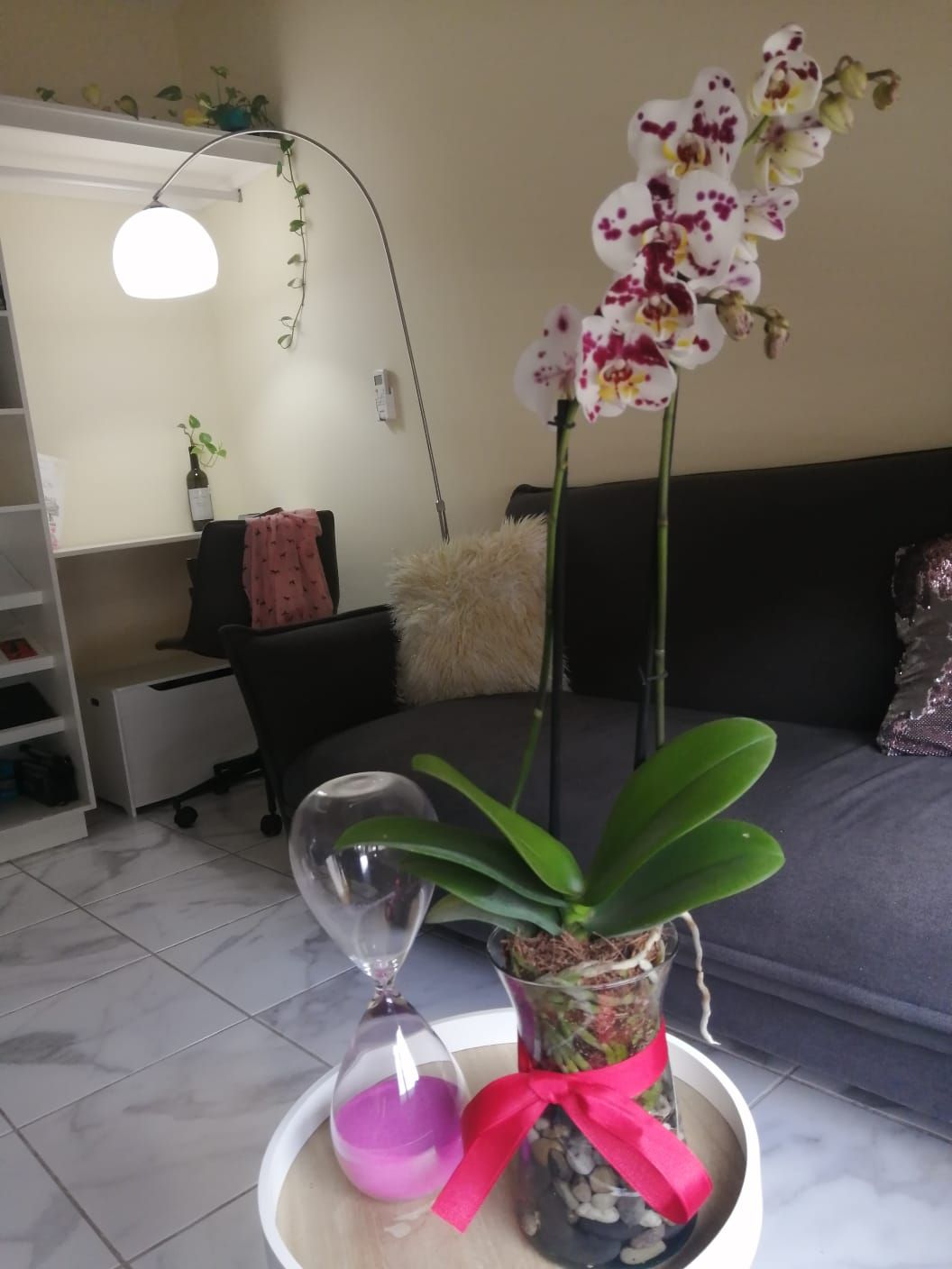 Elvira Nohemí Ponce Ramos-11