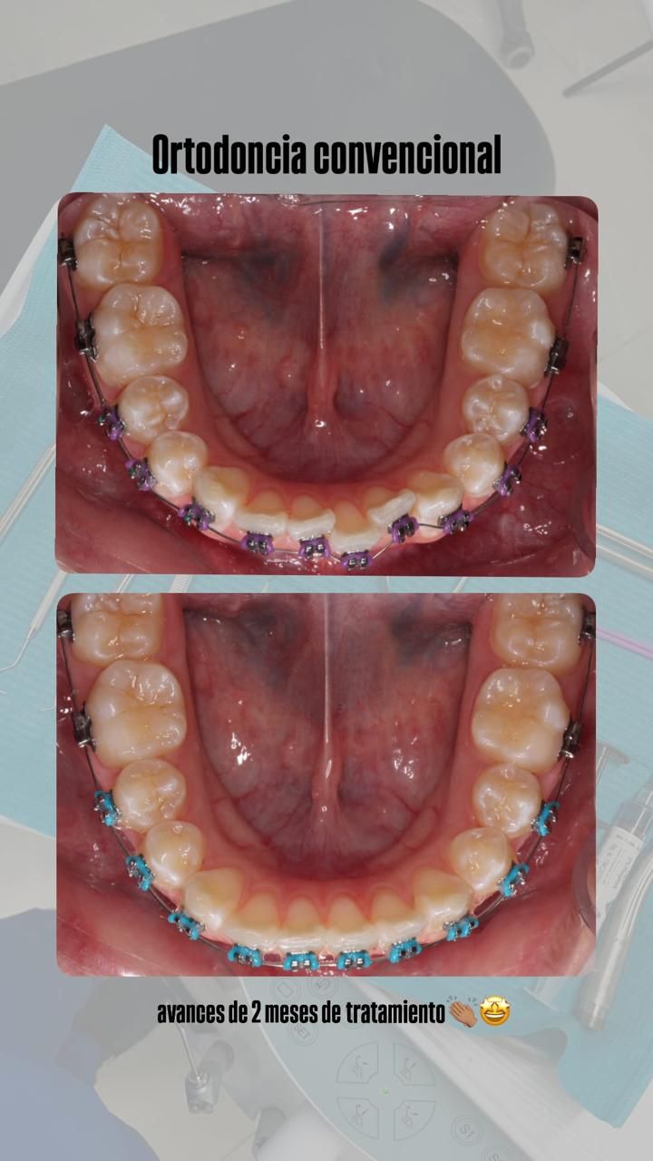 Clara Carolina Cetina Novelo-1