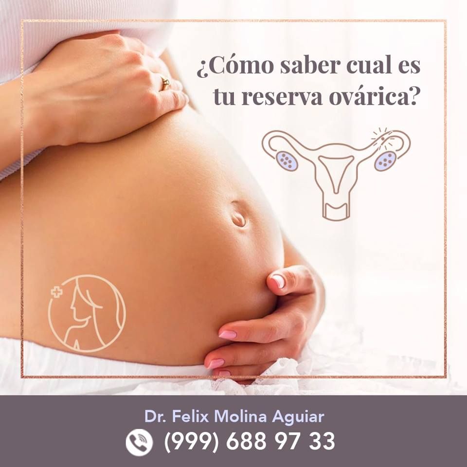 Félix José Molina Aguiar-5