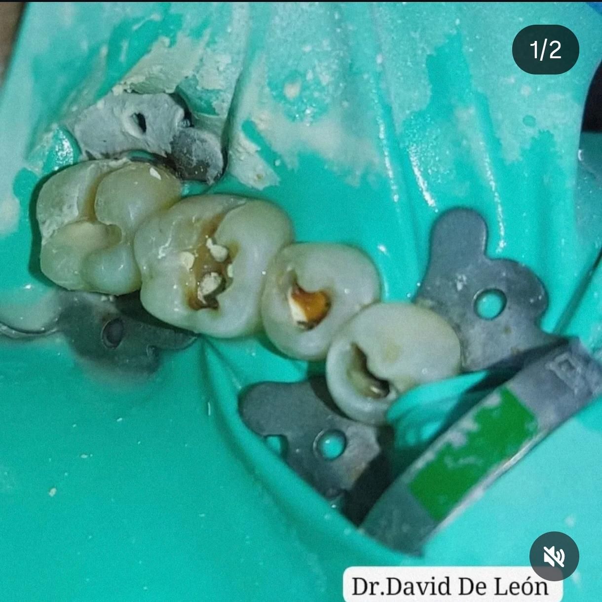 David De León-12