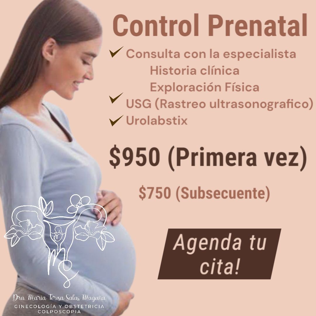 María Teresa Salas Magaña-2