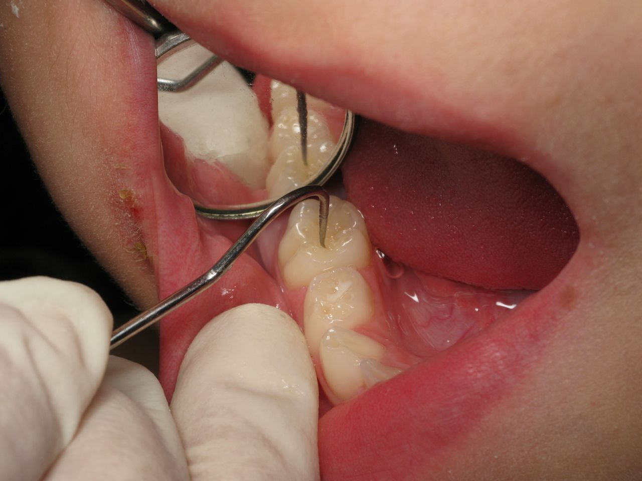 Adriana Alejandra Rodriguez Carrillo-14