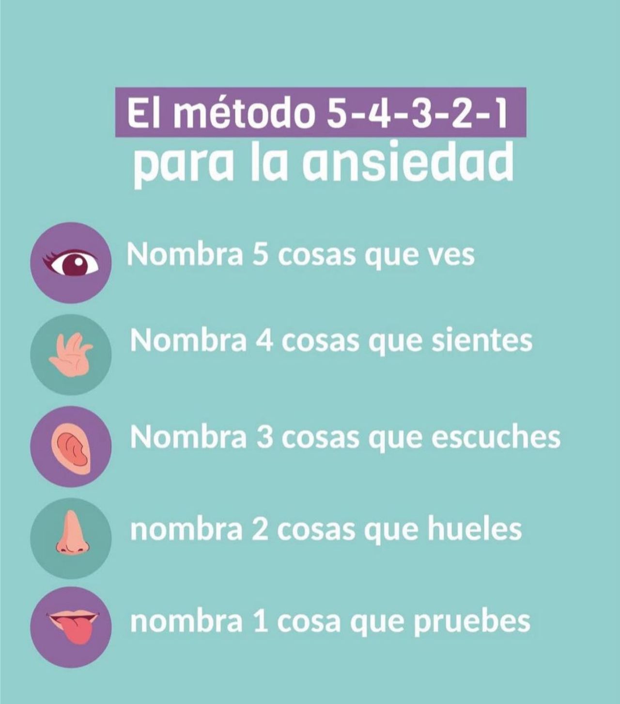 Elizabeth Rodriguez Bosch-3