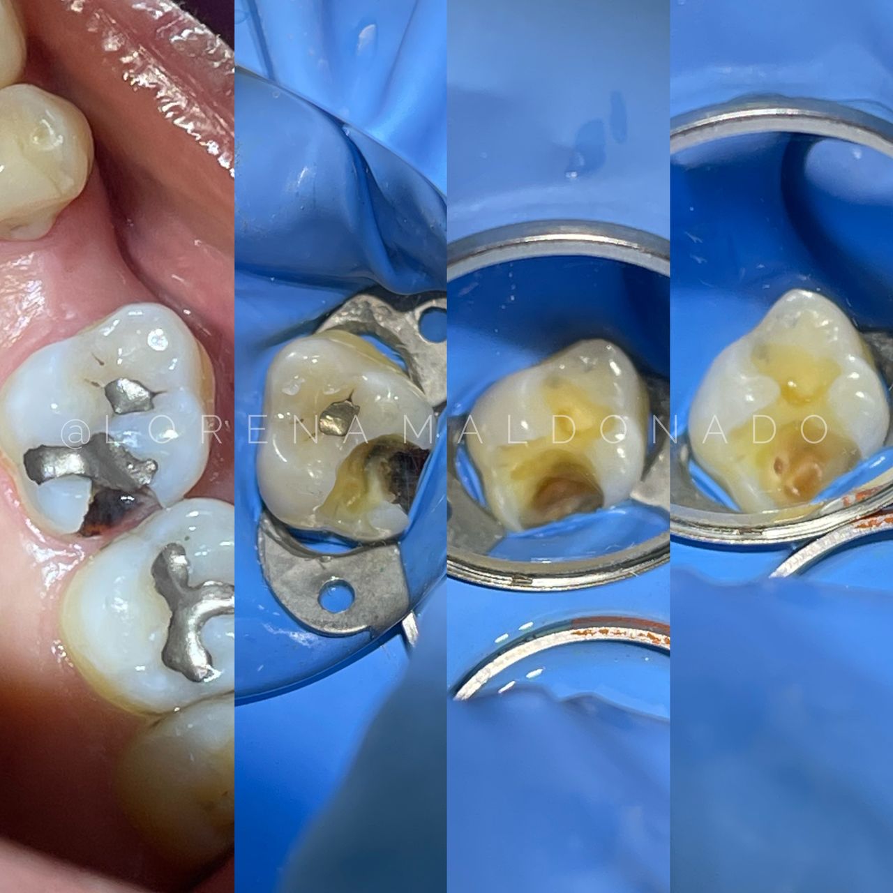 Ana Lorena Maldonado Munguia-5