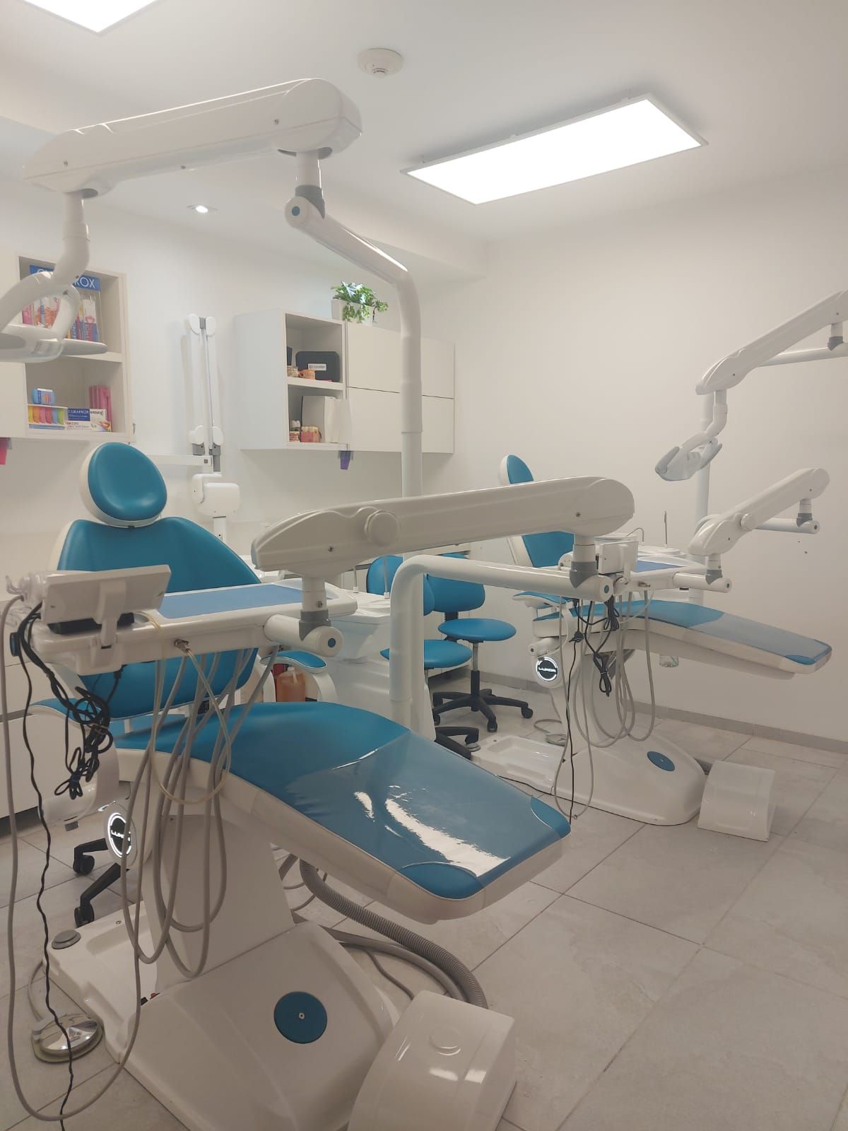 Diana Elizabeth Escalante Ayala-11