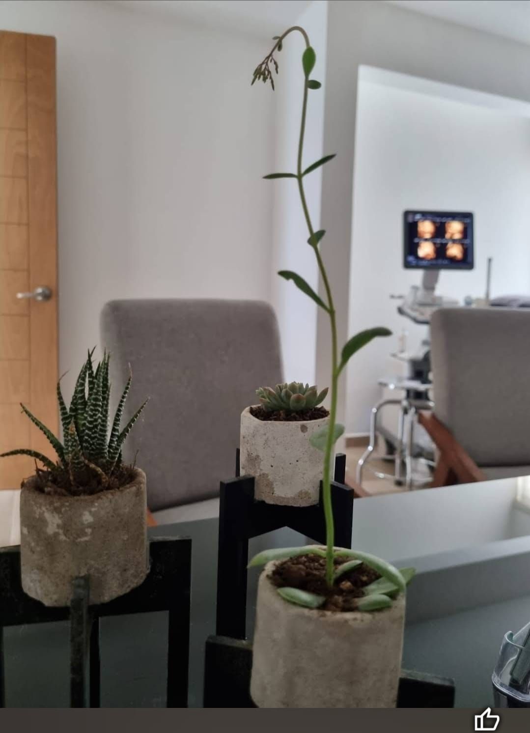 Tania Navarro Acevedo-0