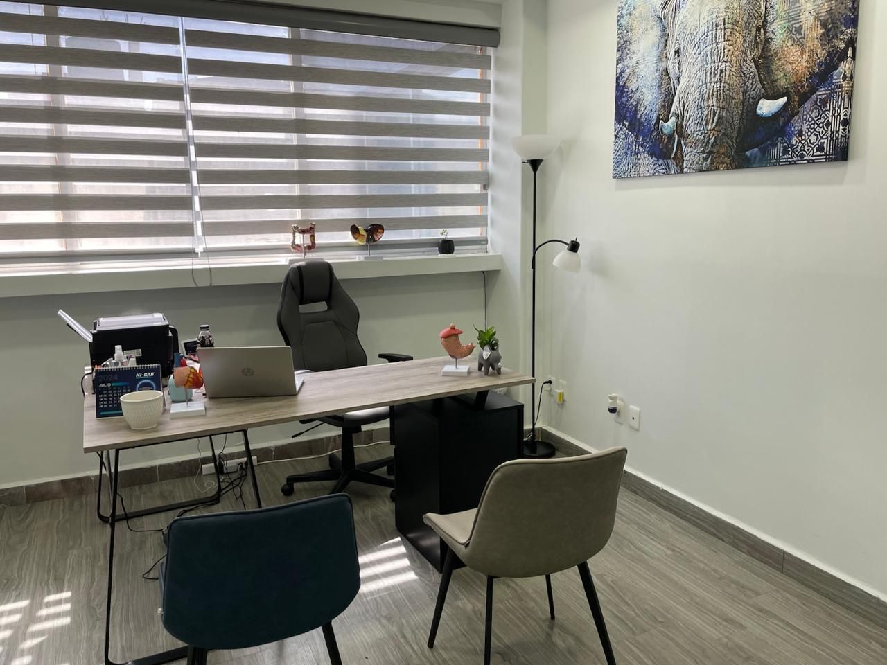 Tania Santamaria Rodela-2