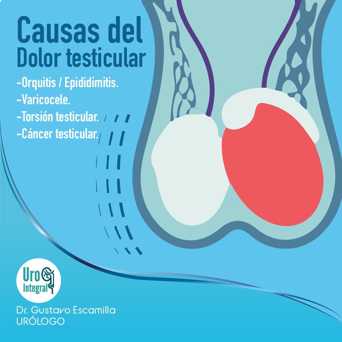 Gustavo Aelohim Escamilla Gonzalez-7