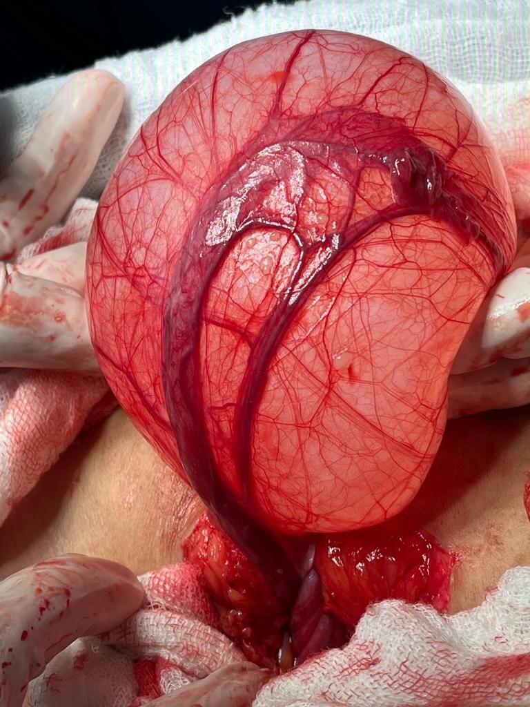 Cynthia Gina Morales Domínguez-2