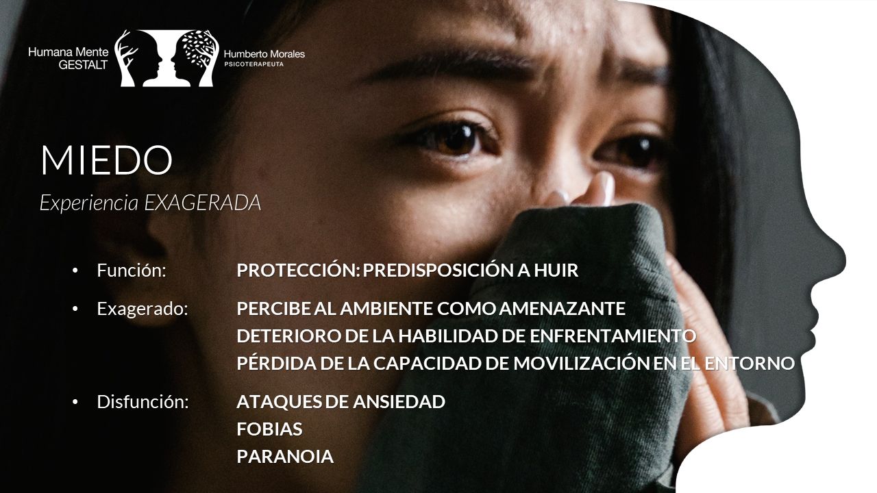 José Humberto Morales Galindo-14