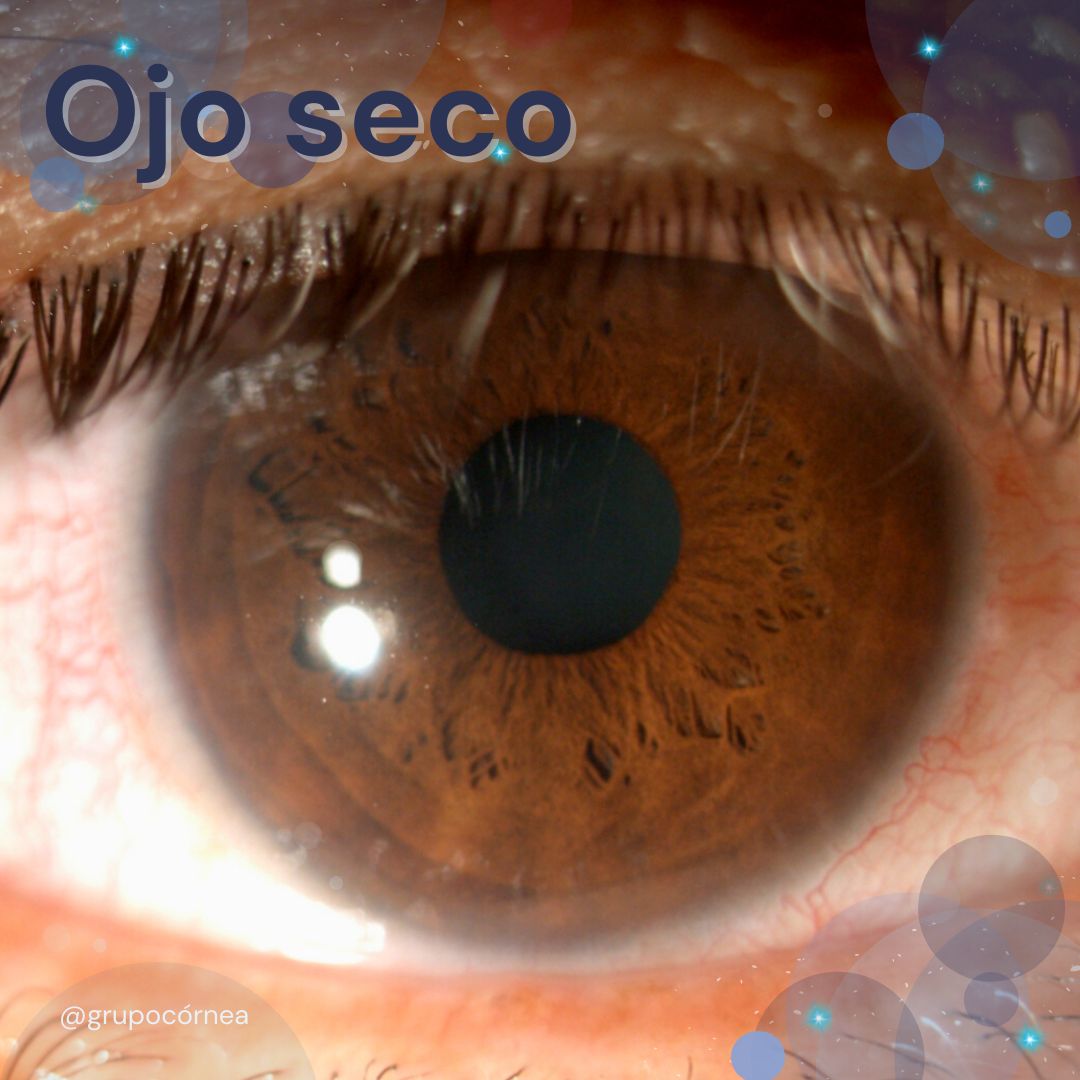 Kristian Alfonso Vazquez Romo-9