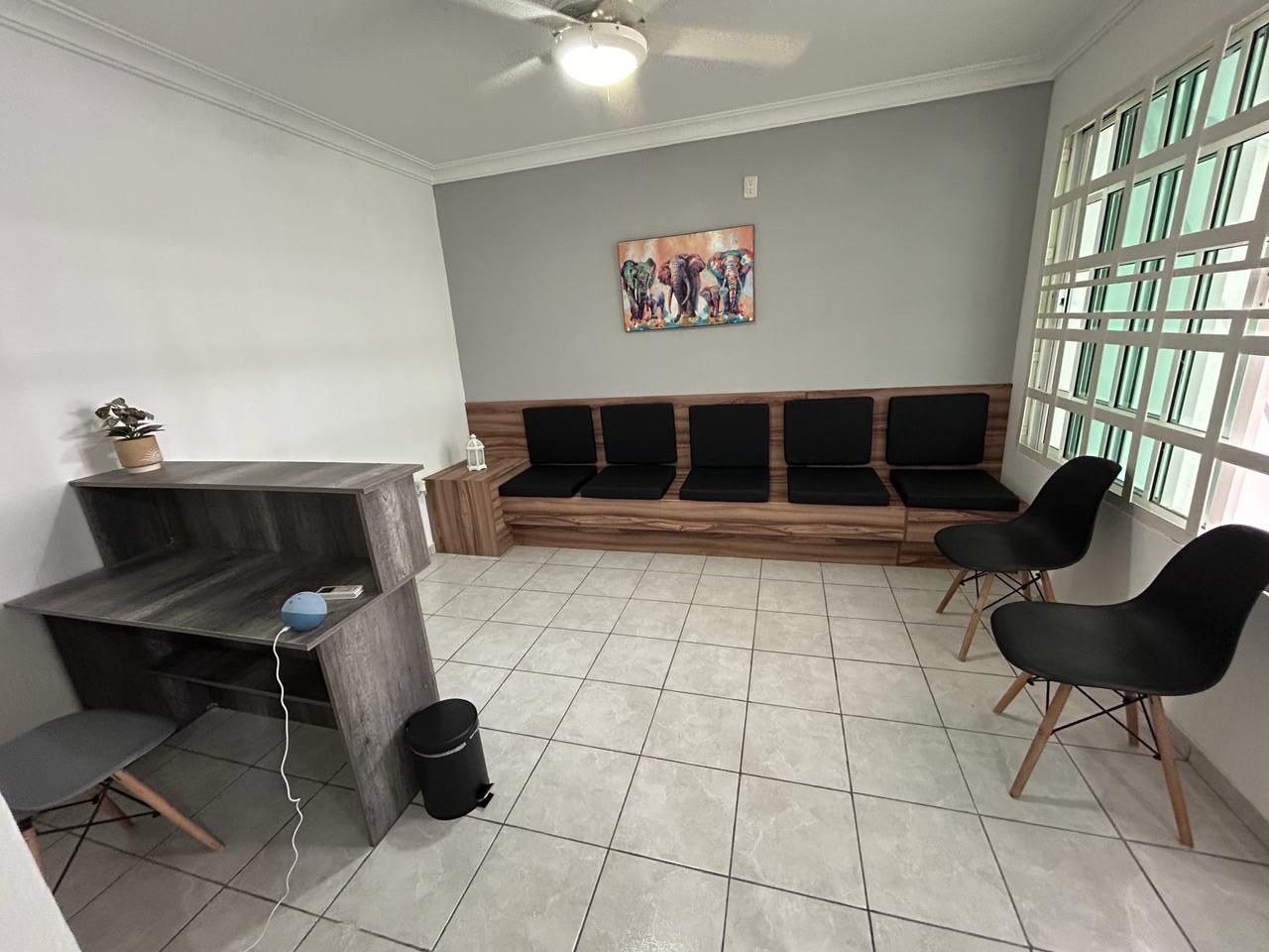 Cecilia Hernández Andrade-5