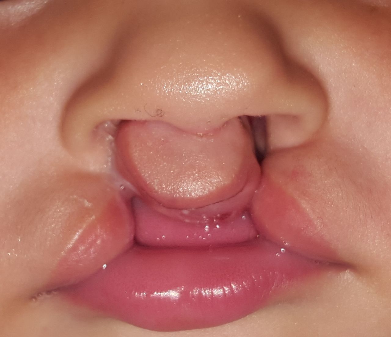 Zeyda Oliman Hoyos-9